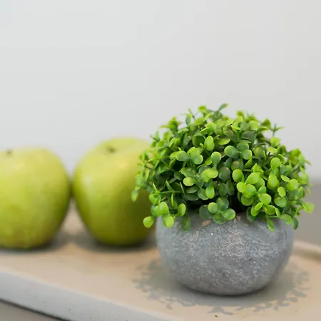 Captain's In Olive Grove 2