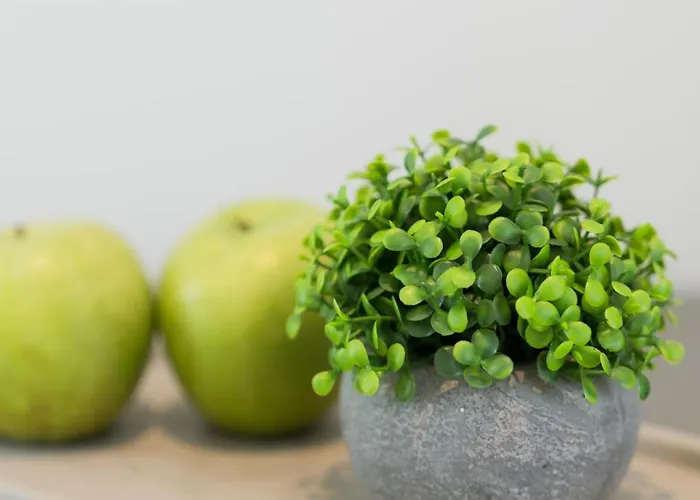 Captain's In Olive Grove 2